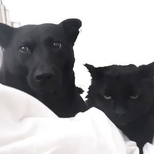 Meet your Posher, Magali